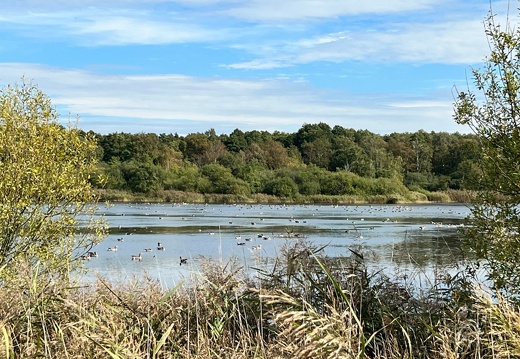 23-09-21 13-39-10 7207